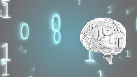human brain and binary codes