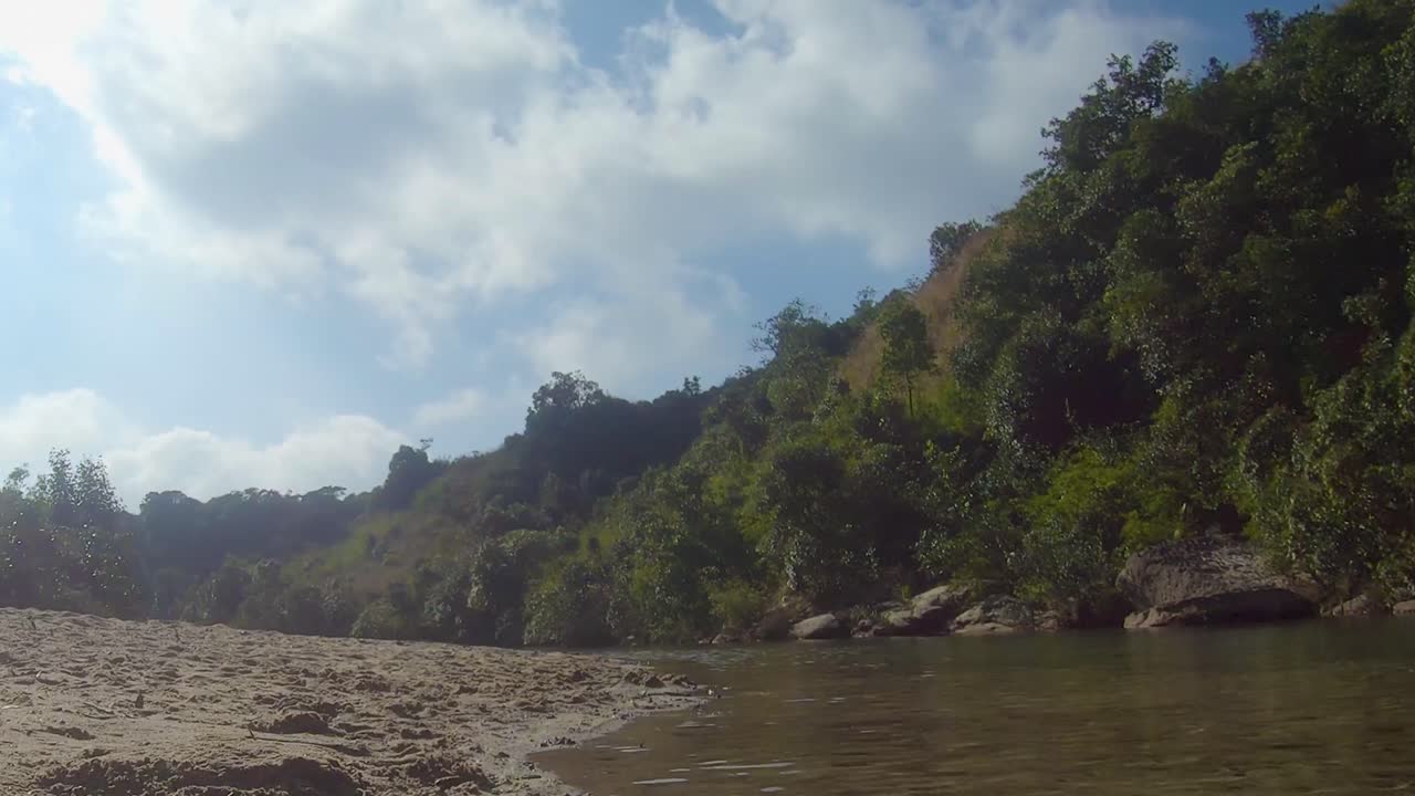 зеленый лес с протекающей рекой и ярко-синее небо утром с плоского ракурса