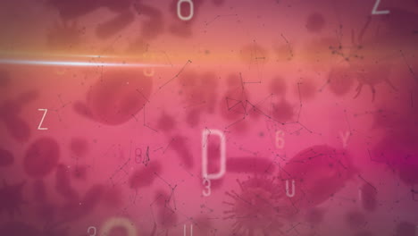 animación de la red de conexiones sobre letras y celdas en movimiento en rosa