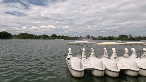 pedal boats idle on calm water with scenic backdrop.