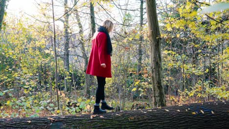 young beautiful woman walking over falling tree