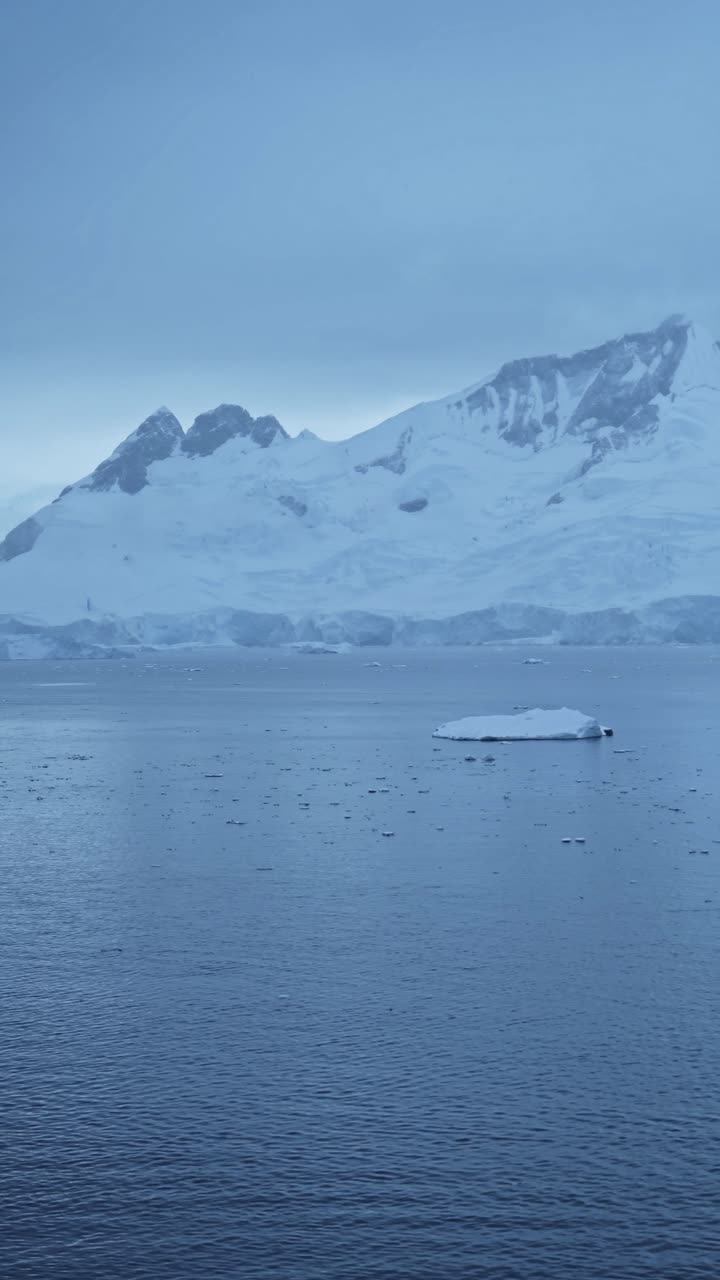 Winter Mountains Coastal Scenery in Antarctica, Cold Snowy Snow Covered Landscape on the Coast of Antarctic Peninsula in Vertical Video for Social Media, Instagram Reels and Tiktok