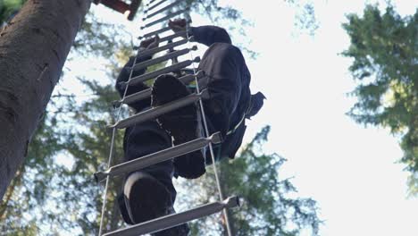 El-Hombre-Sube-Cuidadosamente-La-Escalera-En-El