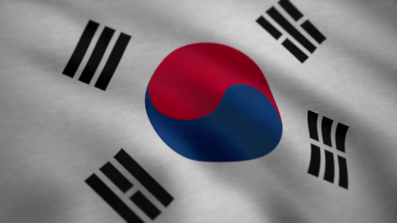 Bandiera della Corea del Sud