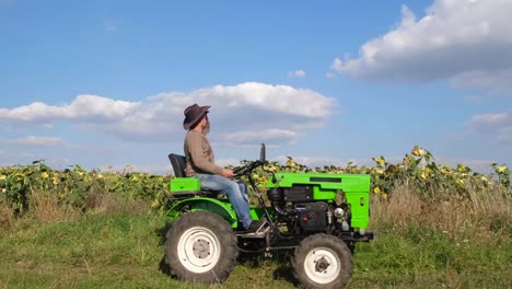 a farmer driving a tractor near a sunflower plantation a farmer inspects a sunflower a farmer driving a tractor near a sunflower plantation a farmer inspects a sunflower crop before harvesting