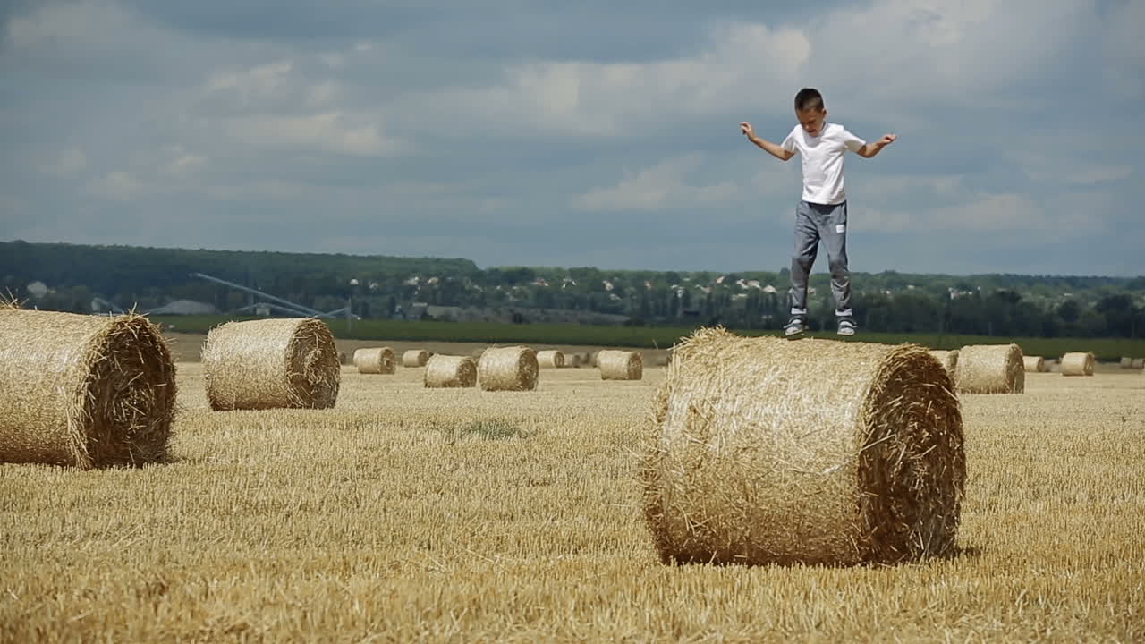 Little Boy In Field. Beautiful boy walking in a field with straw