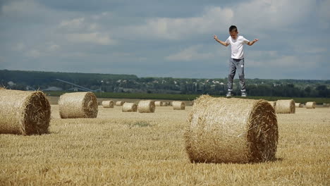 little boy in field. beautiful boy walking in a field with straw