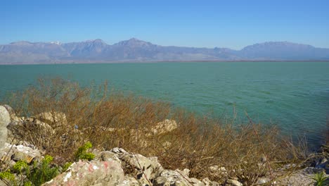 dry reeds and rocks on shore of skadar lake surrounded by high alps mountains on a sunny winter day