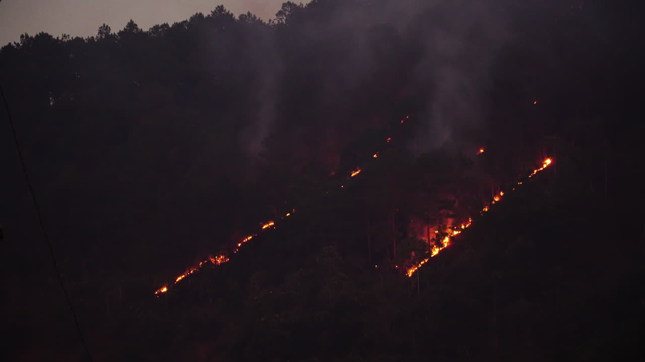 Incendio boschivo nella vegetazione montana al crepuscolo, Vietnam. Fisso