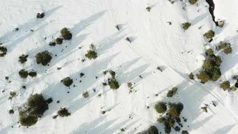 Eine-Gruppe-Von-Schneemobilfahrern,-Die-Durch-Einen-Rotierenden-Rahmen-Fahren