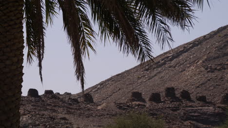 ancient tombstones on a graveyard in the rural sultanate of oman