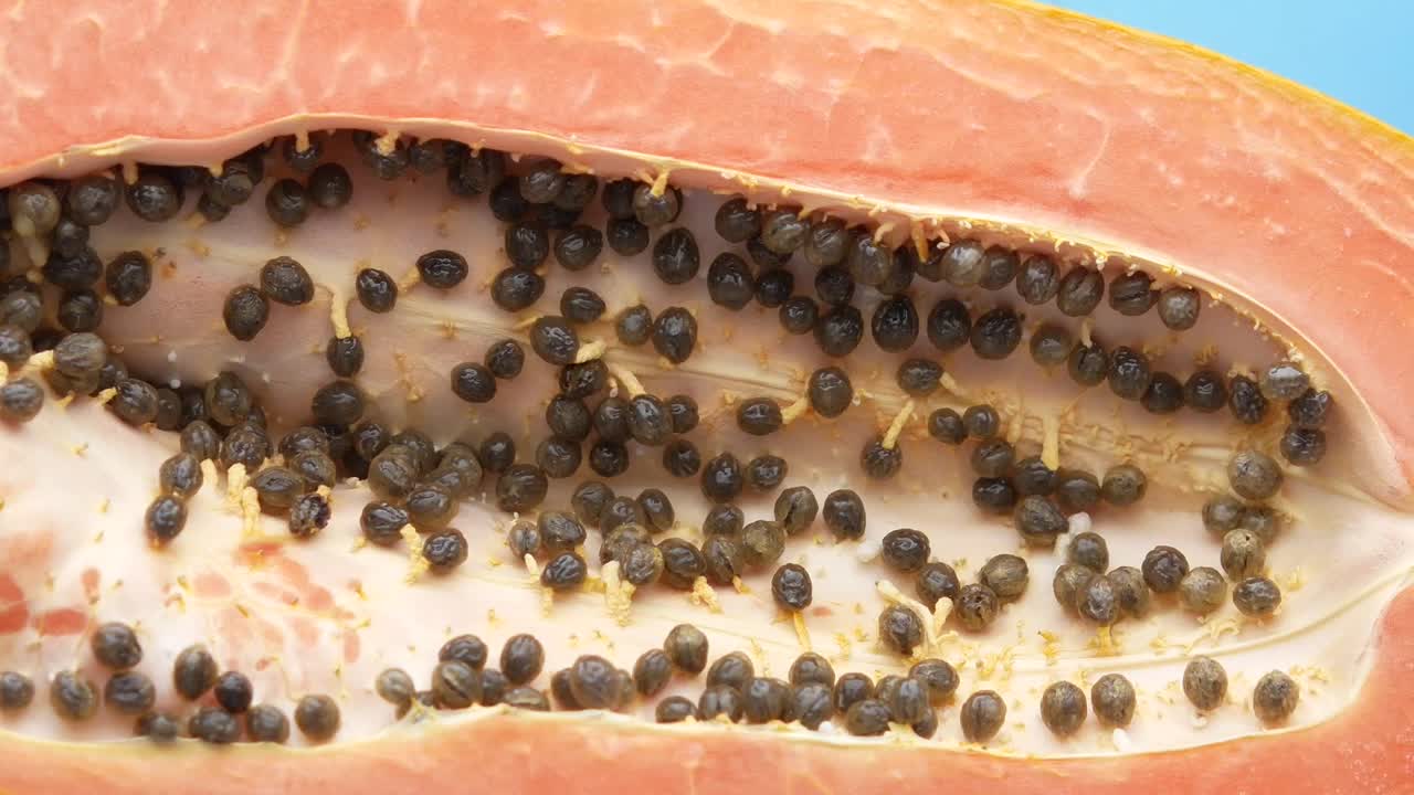 primer plano de las semillas de papaya