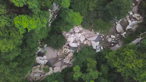 aerial view of a forest stream