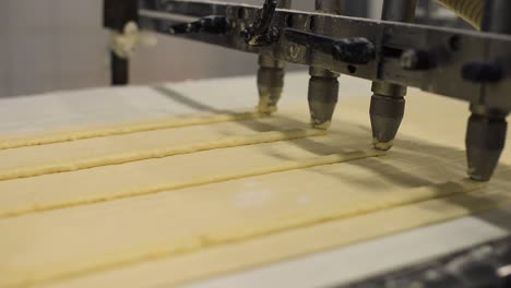 industrial pastry machine injects cheese ingredient over lines of un backed dough moving on conveyor belt inside bread factory