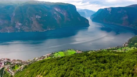 stegastein olhando para a bela natureza da noruega.