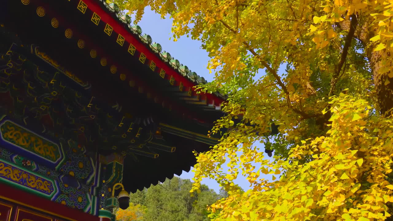 Clouds moving over Tourists visiting Imperial hall standing traditional architecture, Forbidden Historic ancient buildings City, China. Chinese on plague Ancient royal palace Hall of Supreme Harmony