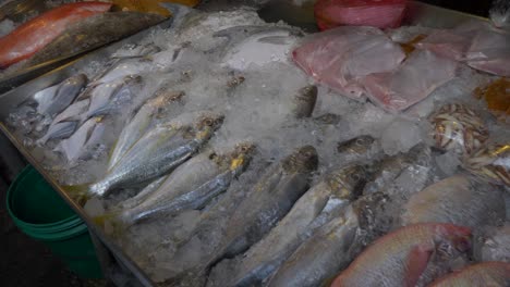 fresh fishes on ice in thailand seafood market documentary