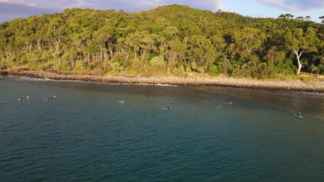 surfers lying on surfboards on the sunshine coast with the green forest in australia