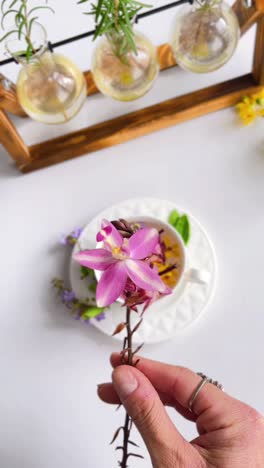 pink orchid in teacup with herbs