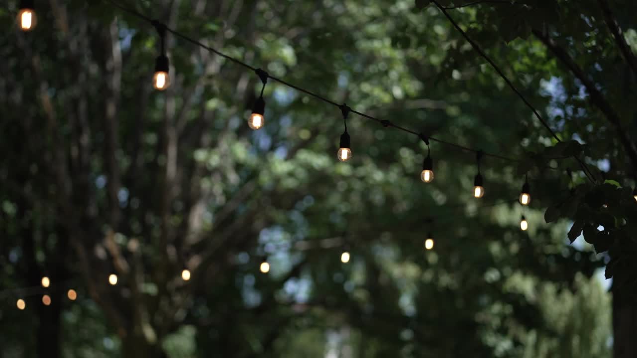 Hanging string lights in a green outdoor setting, creating a cozy and inviting atmosphere
