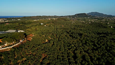 Pintoresca-Ciudad-Rodeada-De-Exuberante-Vegetación-Verde-En-Grecia---Fotografía-Aérea-Con-Dron