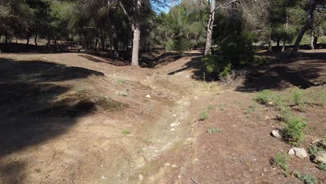 moving fast in a mediterranean forest