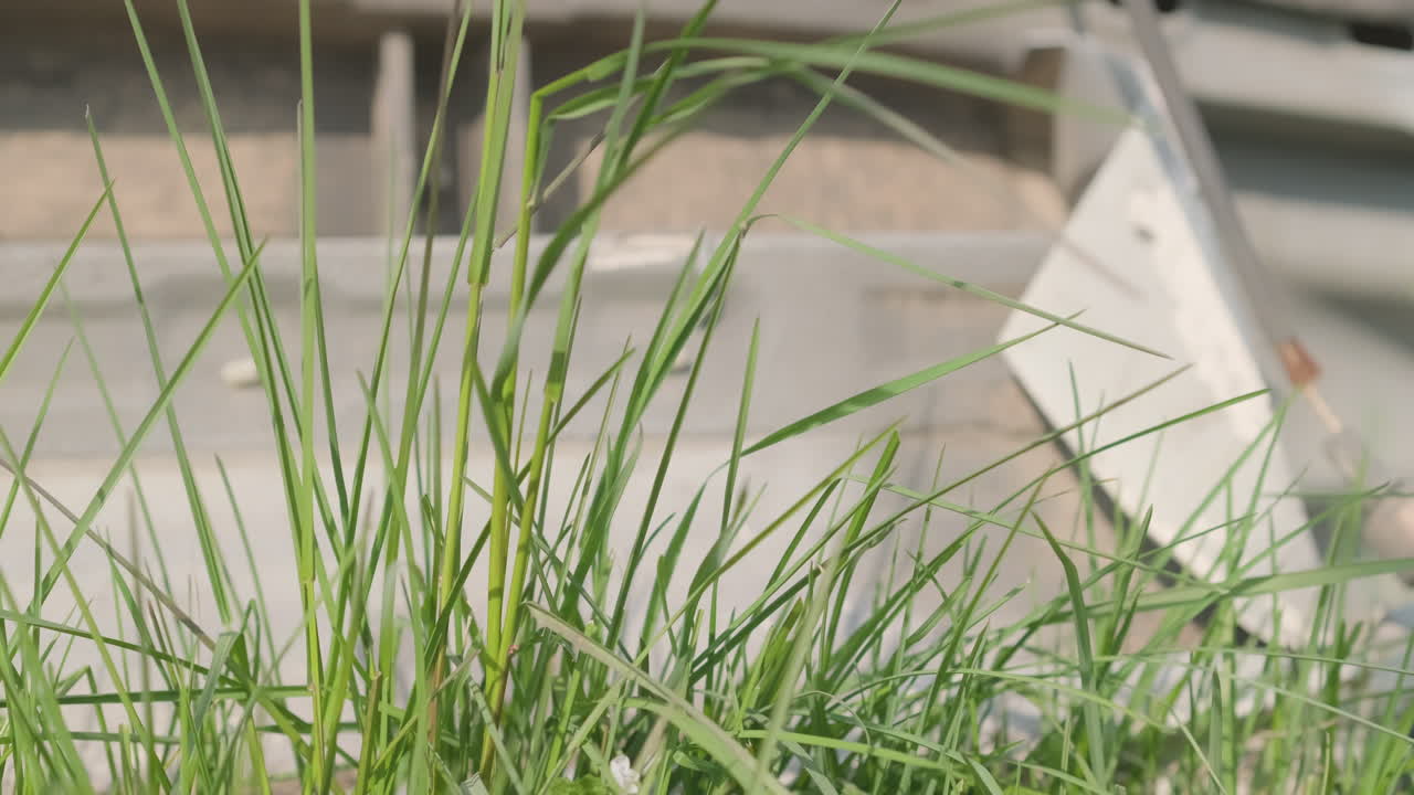 primer plano de hojas de hierba de pradera en un fondo de bokeh de piezas de metal durante el día soleado