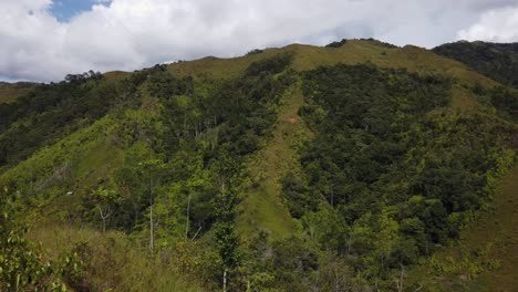 view of the safeyoka mountains in papua new guinea