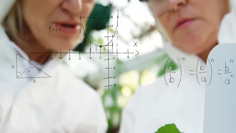 botanists studying a leaf 4k