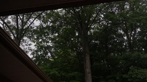 High-angle-of-a-roof-and-forest,-showing-off-the-a-light-fall-evening-rain