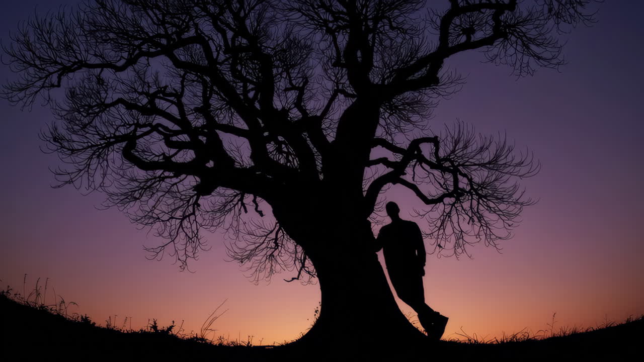 Silhouette of a Man by a Tree at Sunset