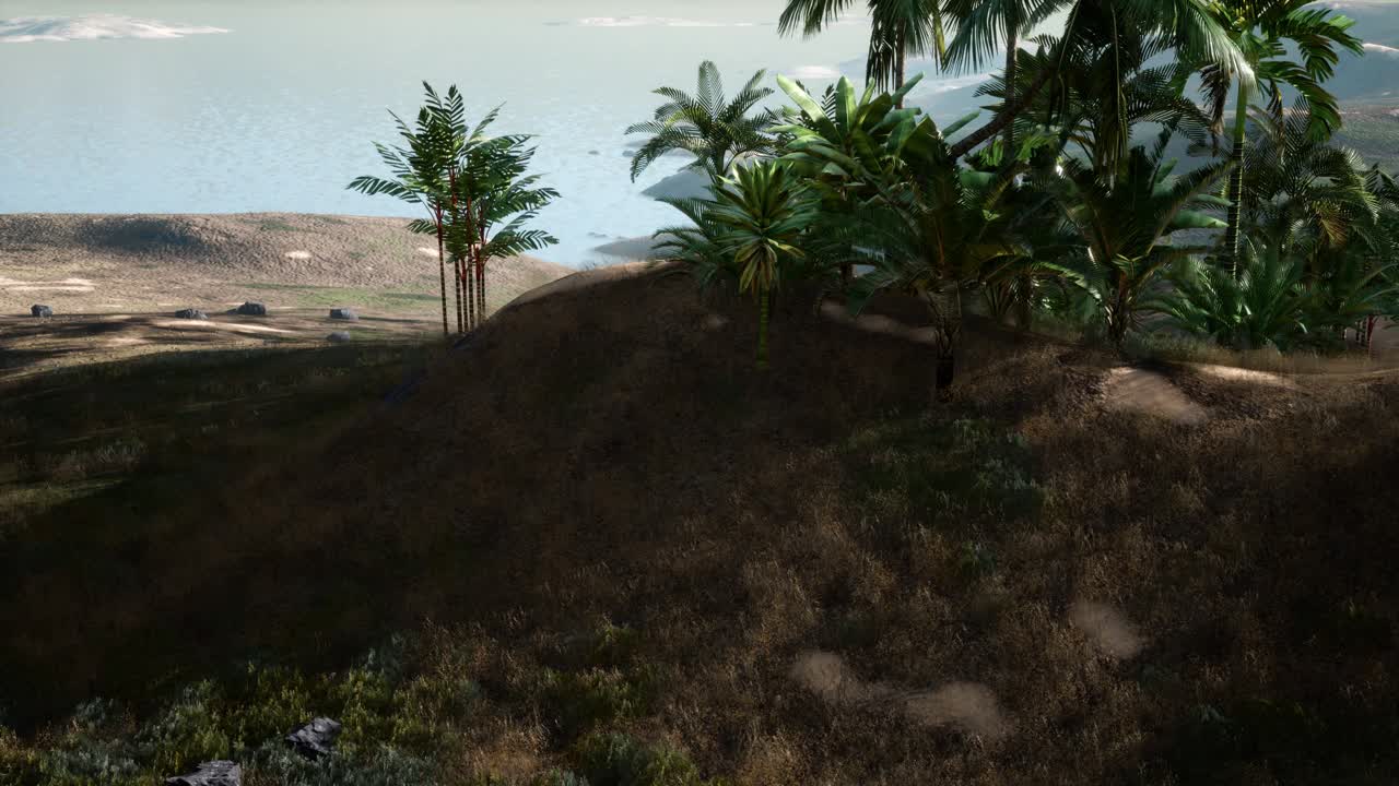 Vista aerea di palme su dune di sabbia vicino al mare