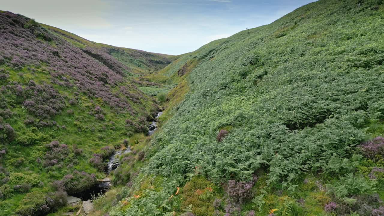 arroyo de cascada de movimiento lento que fluye por un valle de páramos en el oeste de yorkshire, inglaterra