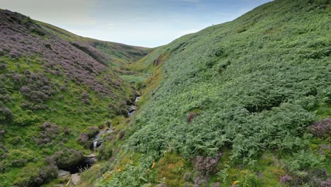 Arroyo-De-Cascada-De-Movimiento-Lento-Que-Fluye-Por-Un-Valle-De-Páramos-En-El-Oeste-De-Yorkshire,-Inglaterra