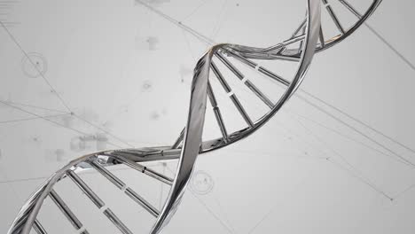 DNA-double-helix