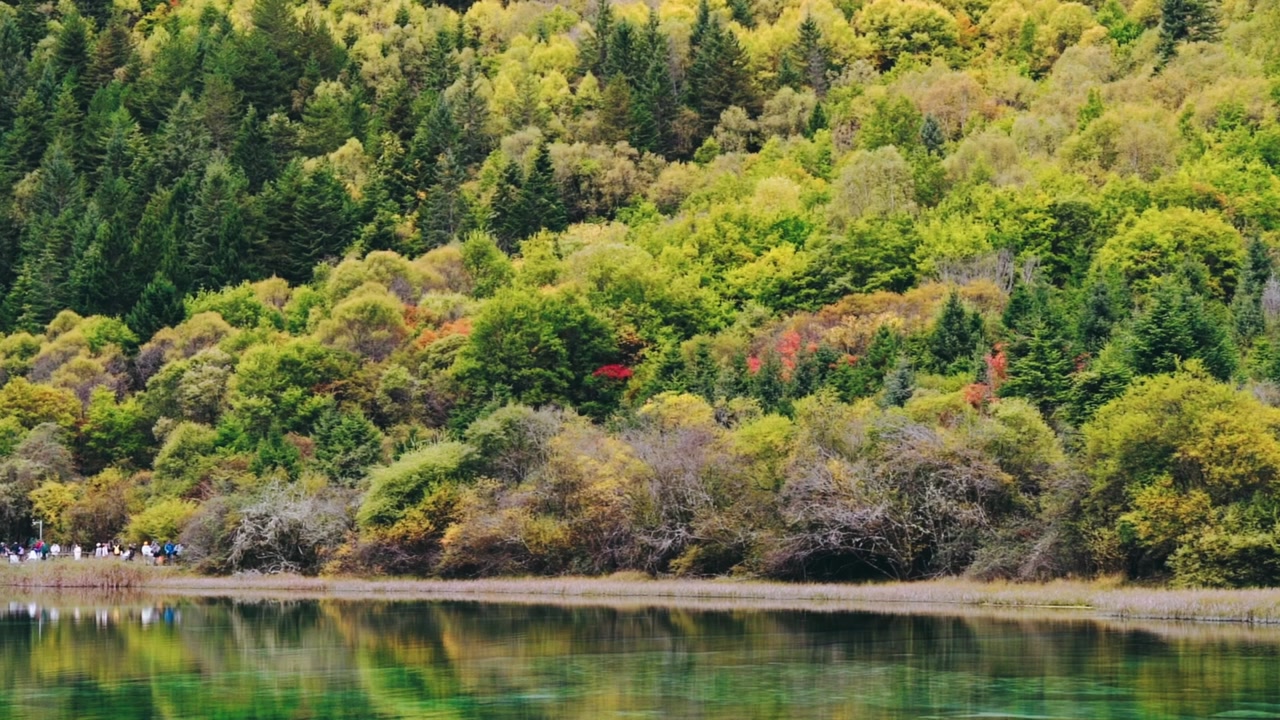 A wide-angle view of Five-Flower Lake (Wuhua Hai) showing the crystal-clear turquoise and green waters reflecting a lush forest of yellow, green, and red autumn leaves.