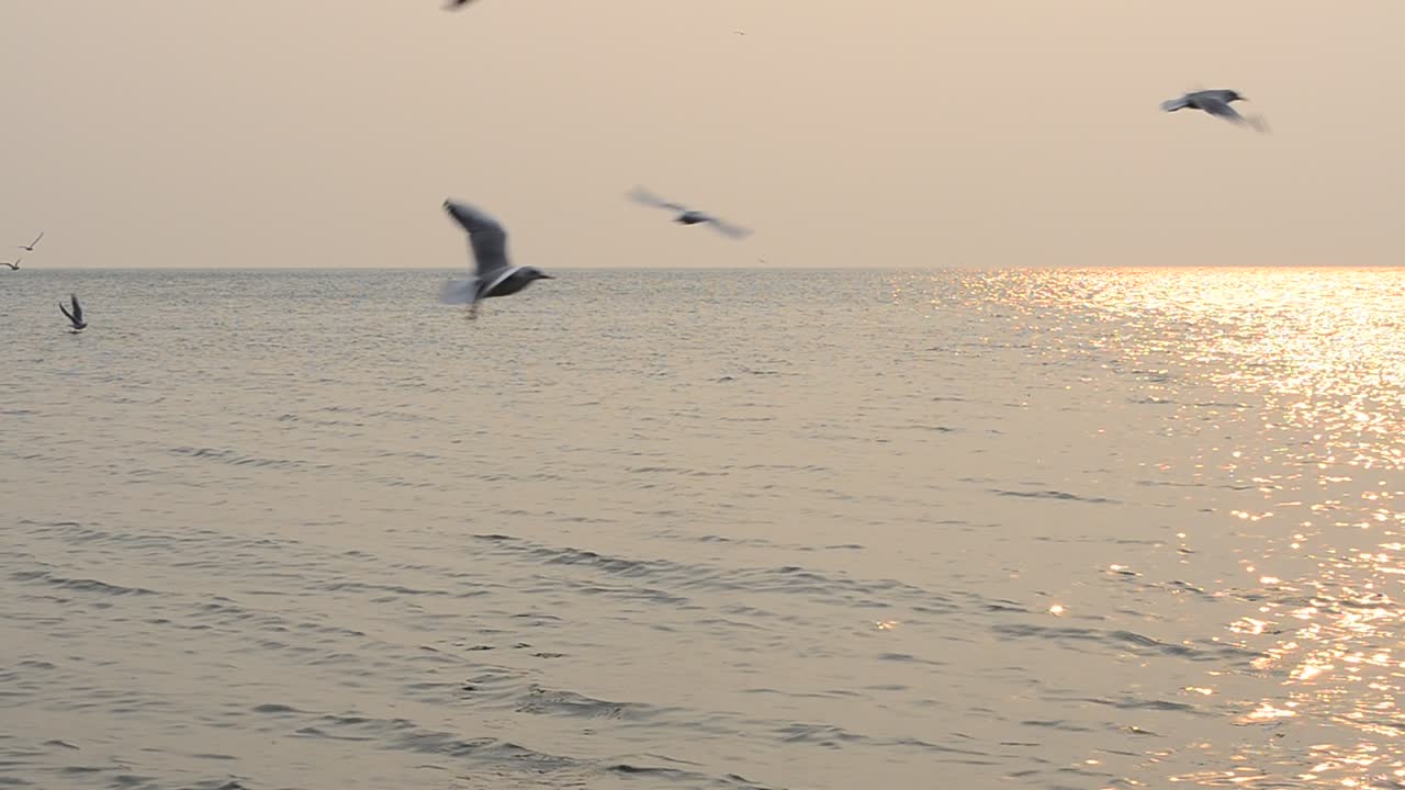 美しい海。光と自然。