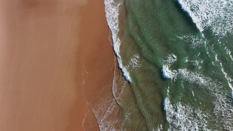 tropical beach aerial view, top view of waves break on tropical yellow sand beach. sea waves seamless loop on the beautiful sand beach. beautiful tropical beach aerial, bird's eye view of ocean waves.