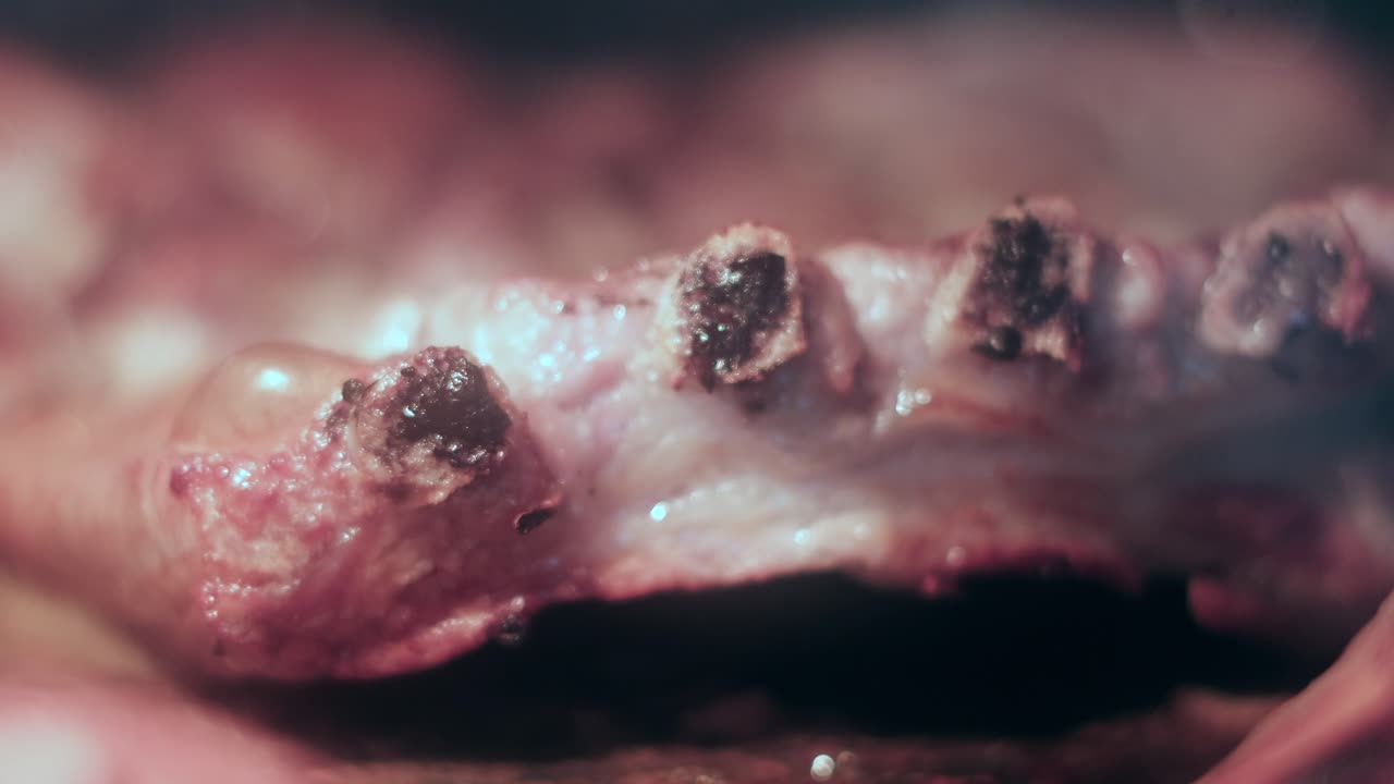Sizzling Delights: Close-Up Shot of Pork Ribs Cooking to Perfection in the Oven. BBQ Roasting
