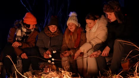 friends roasting marshmallows by a campfire at night