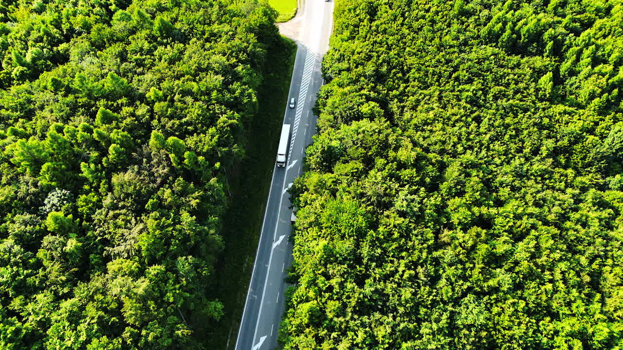 Highway winds through lush green forest. A wide highway cuts through a dense green forest, showcasing nature's beauty alongside modern infrastructure
