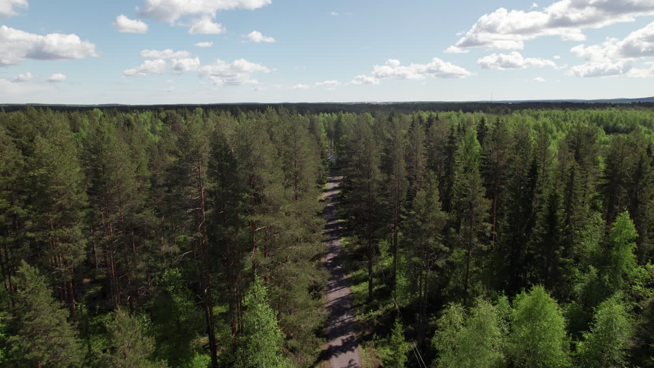 Sunny Drone View of Swedish Forest and Road in the Summer