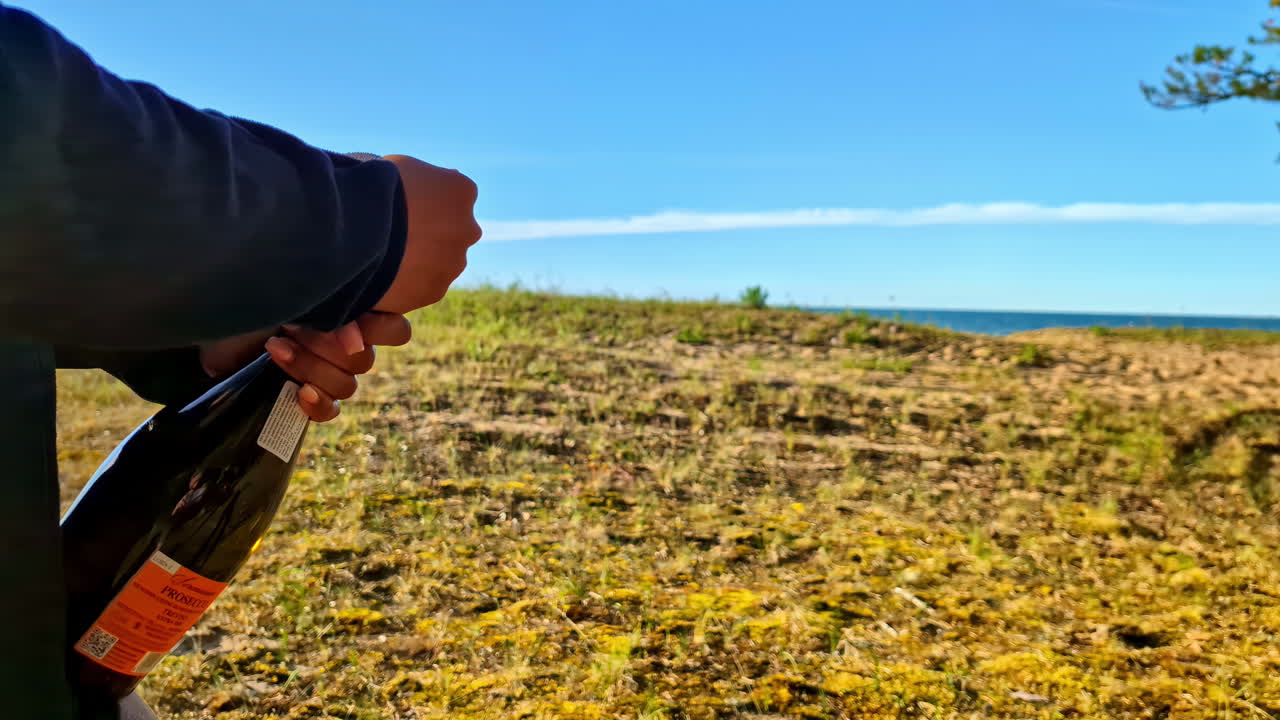 Champagne wine bottle opening cork glass by hand celebration drink