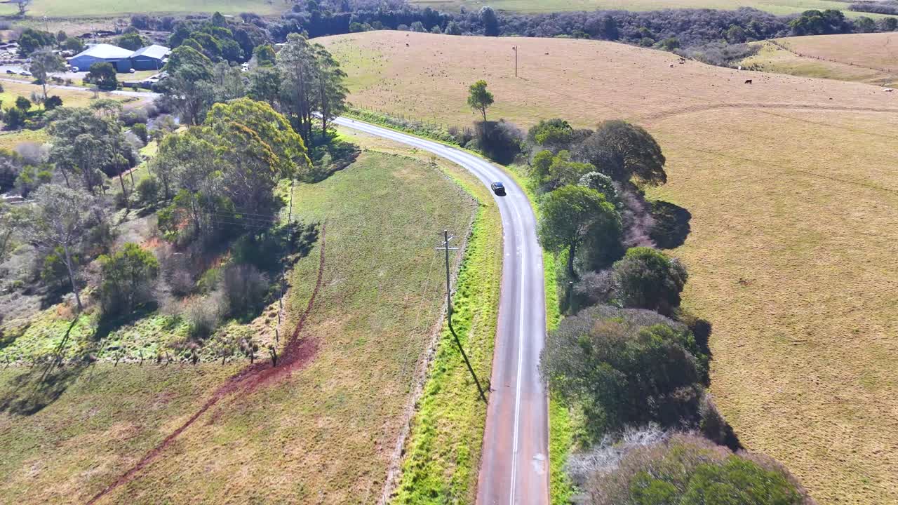 Aerial footage follows a single car traveling on a winding rural road through open fields and scattered trees in bright daylight near Dorrigo, Australia