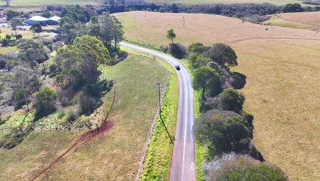 aerial footage follows a single car traveling on a winding rural road through open fields and scattered trees in bright daylight near dorrigo, australia