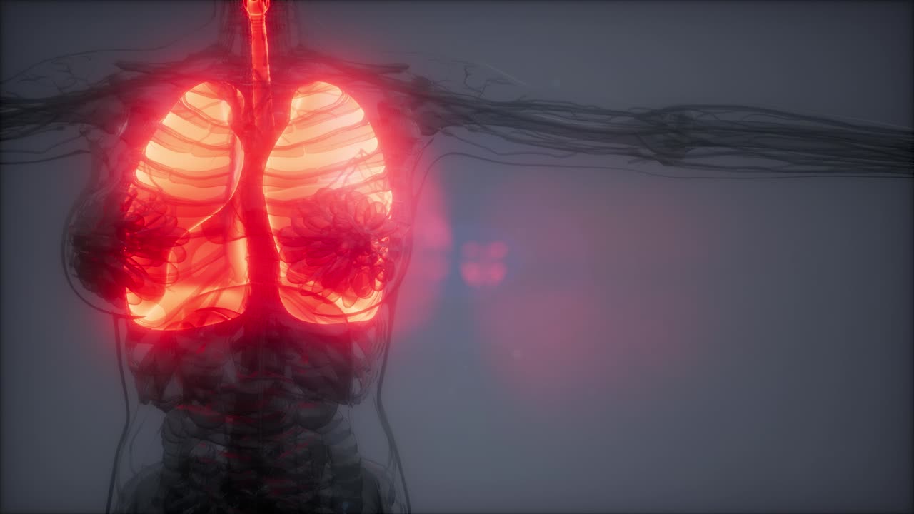 examen radiológico de los pulmones humanos