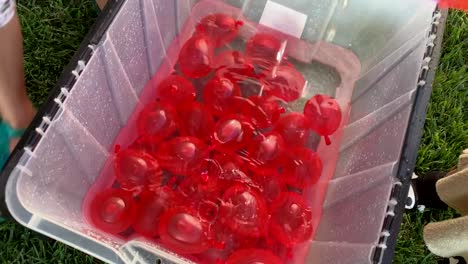 manos pequeñas recogiendo globos de agua rojos de un gran recipiente lleno de globos de agua