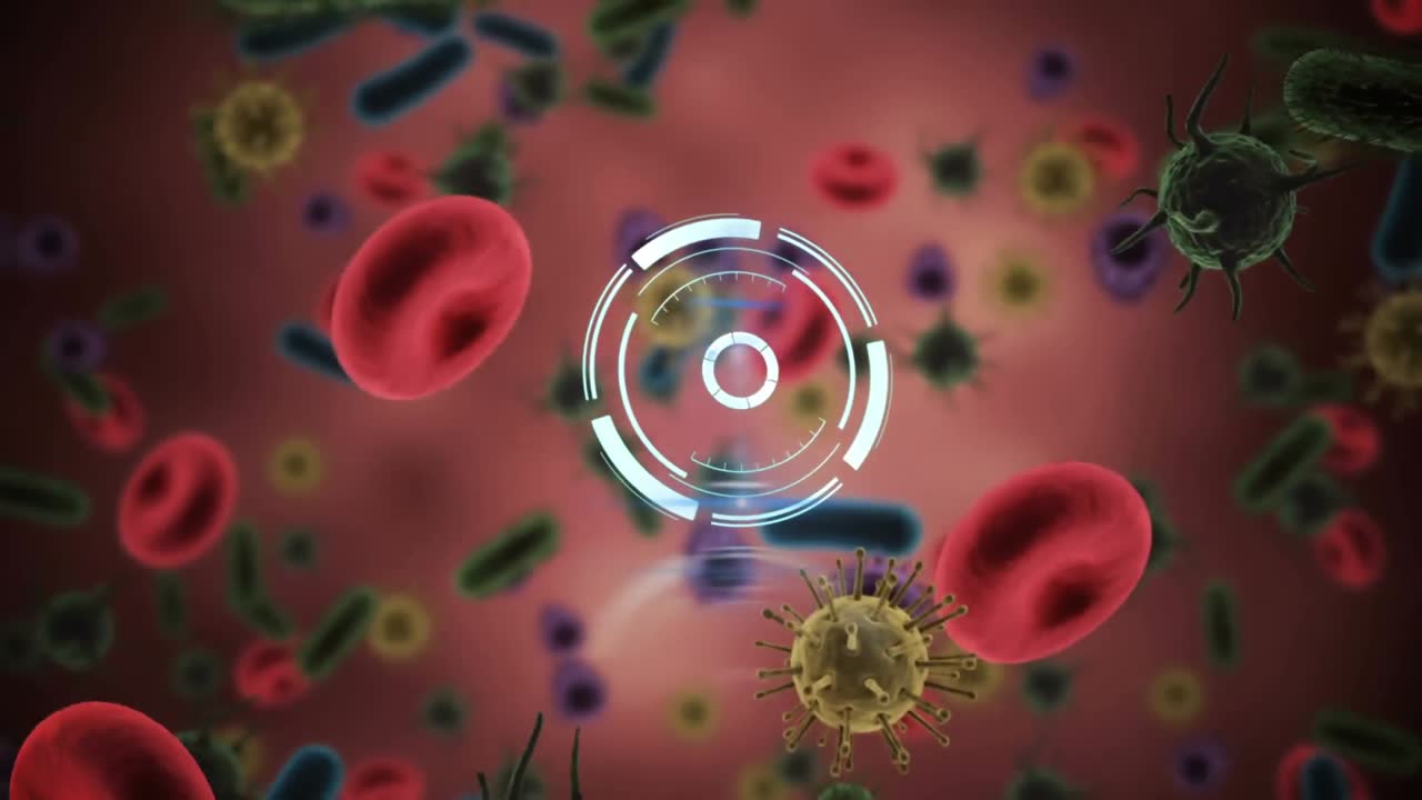 animazione di orologio e scanner circolare che ruota su cellule covid-19 e cellule del sangue, in rosa