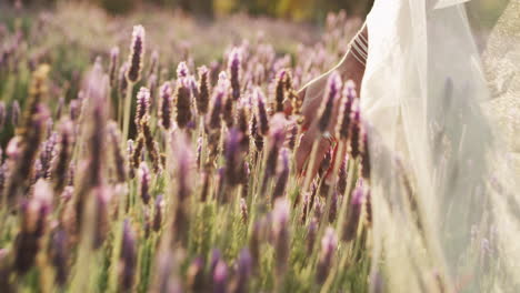 an unrecognizable bride walking in a meadow