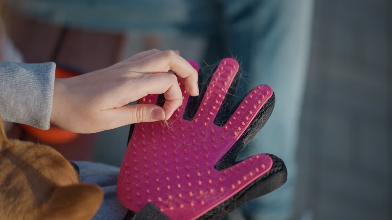 털을 제거하는 동안 분홍색 그루밍 장갑을 낀 백인 여성, 손과 질감이 있는 고무 장갑 클로즈업, 야외 벤치, 부드러운 저녁 햇살, 주인과 개 사이의 평온한 교감